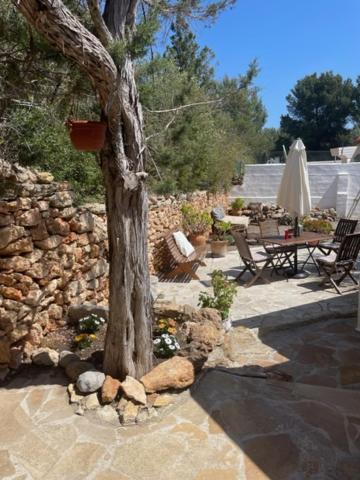 Retreat Studio سانتا أيُلاريا ذيس ريو المظهر الخارجي الصورة